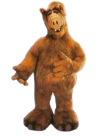 Alf 1